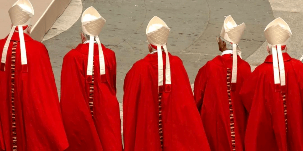 致主内的信众的信，关于呈交给教宗方济各的“疑问”（dubia）